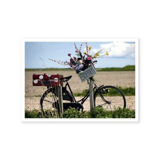 Ansichtkaart fiets met bloemen