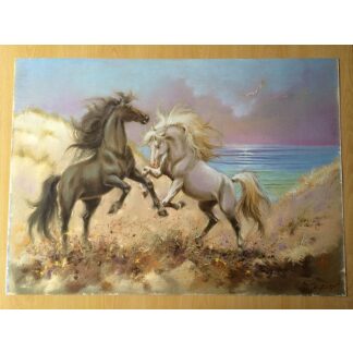 Twee paarden litho 50 x 70 cm