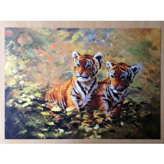 Twee tijgers litho 50 x 70 cm