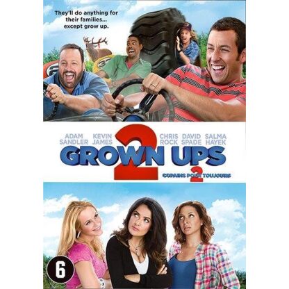 Grown Ups 2 DVD voorkant